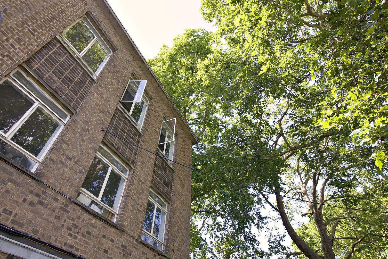 The front of the building among the trees